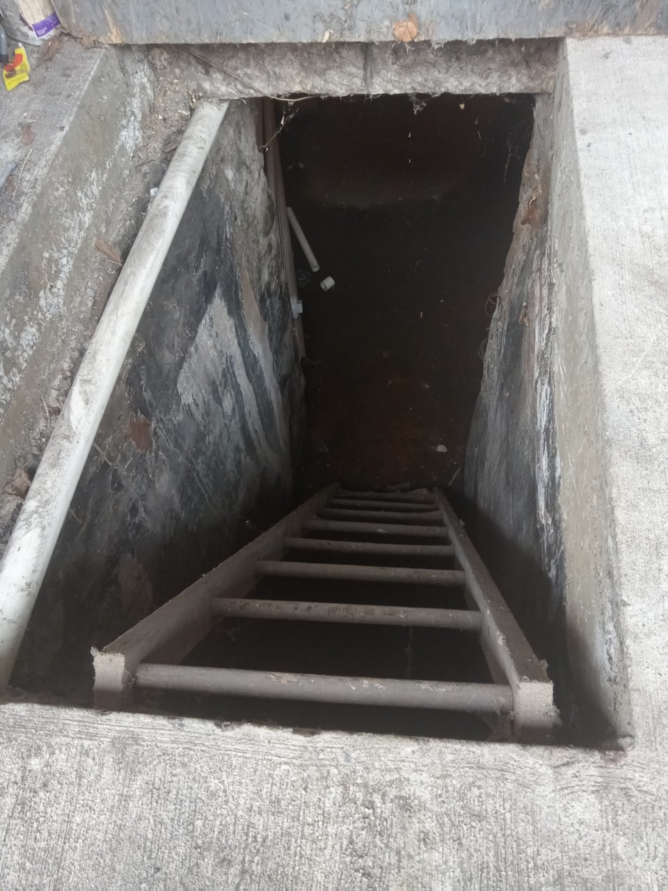 20230702_121733.jpg