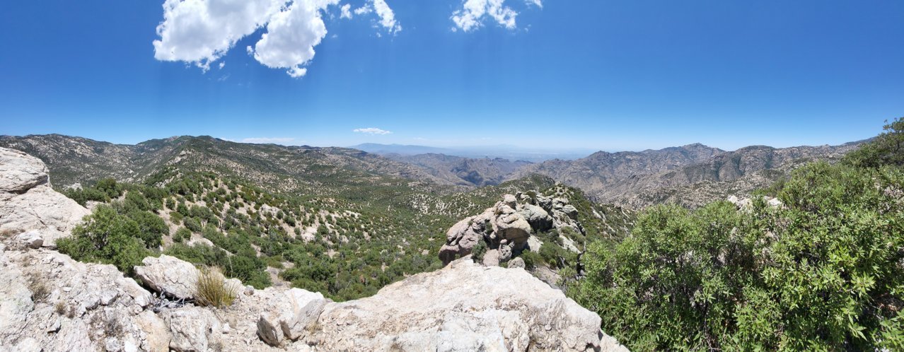 20230702_122800.jpg