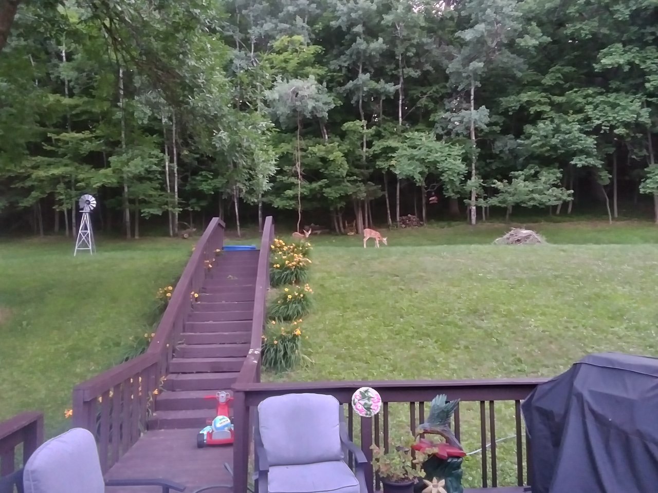 20230703_053217_HDR.jpg