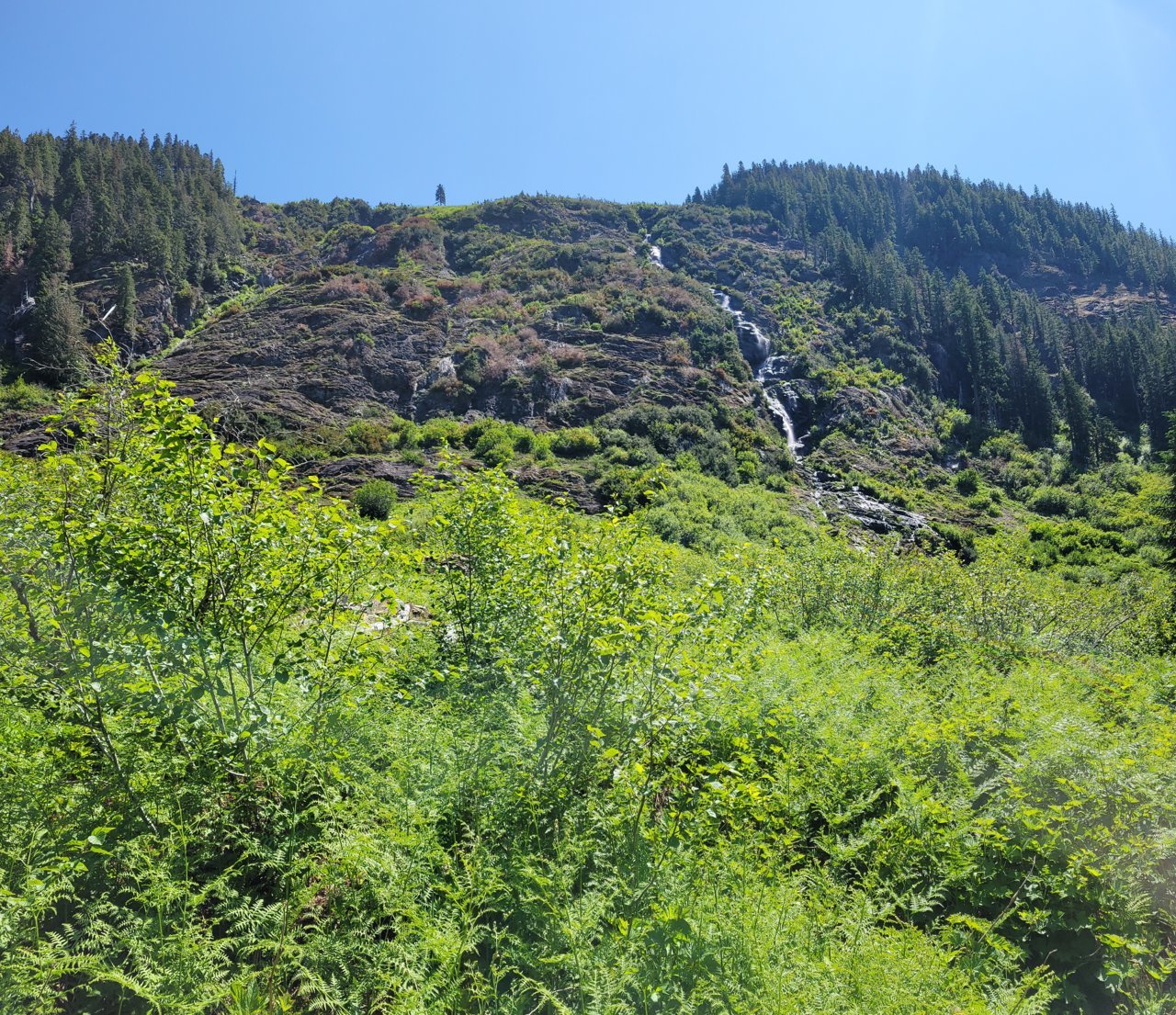 20230703_121020.jpg