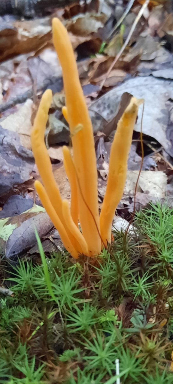 20230703_161931.jpg
