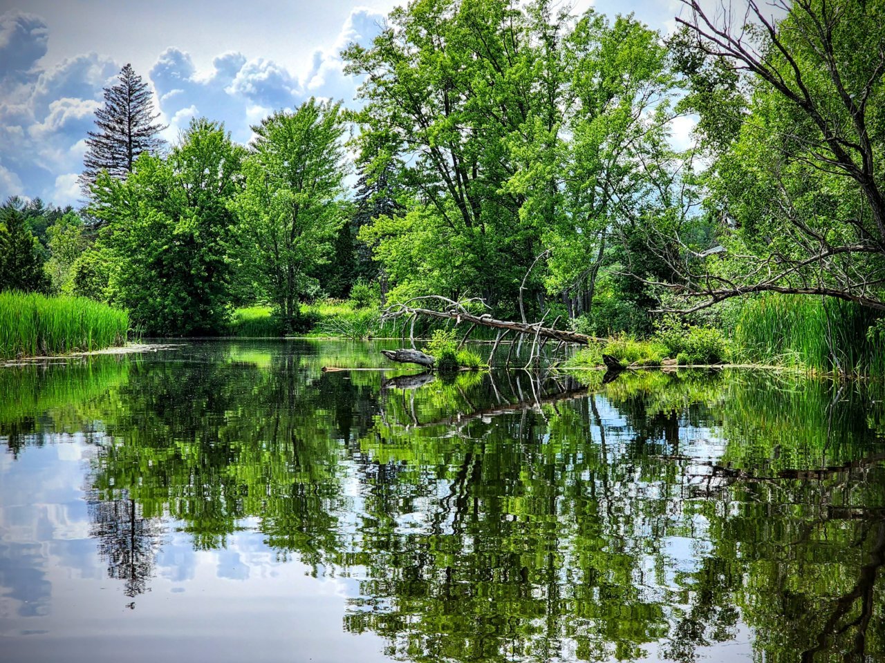 20230704_144905~2.jpg