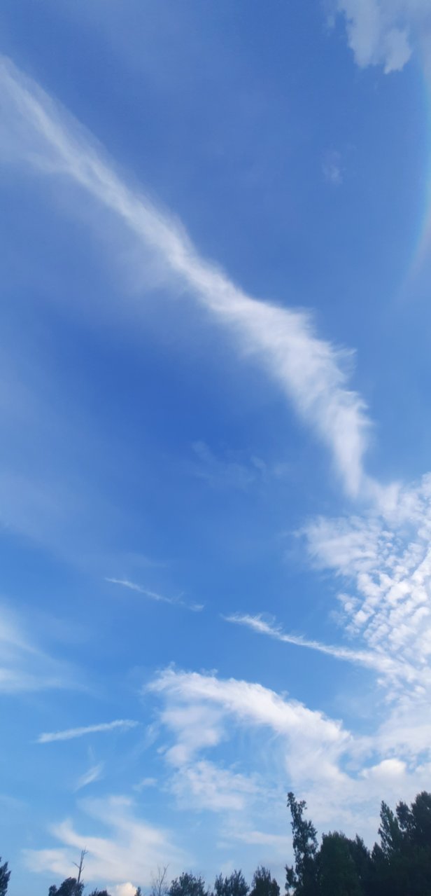 20230704_192835.jpg
