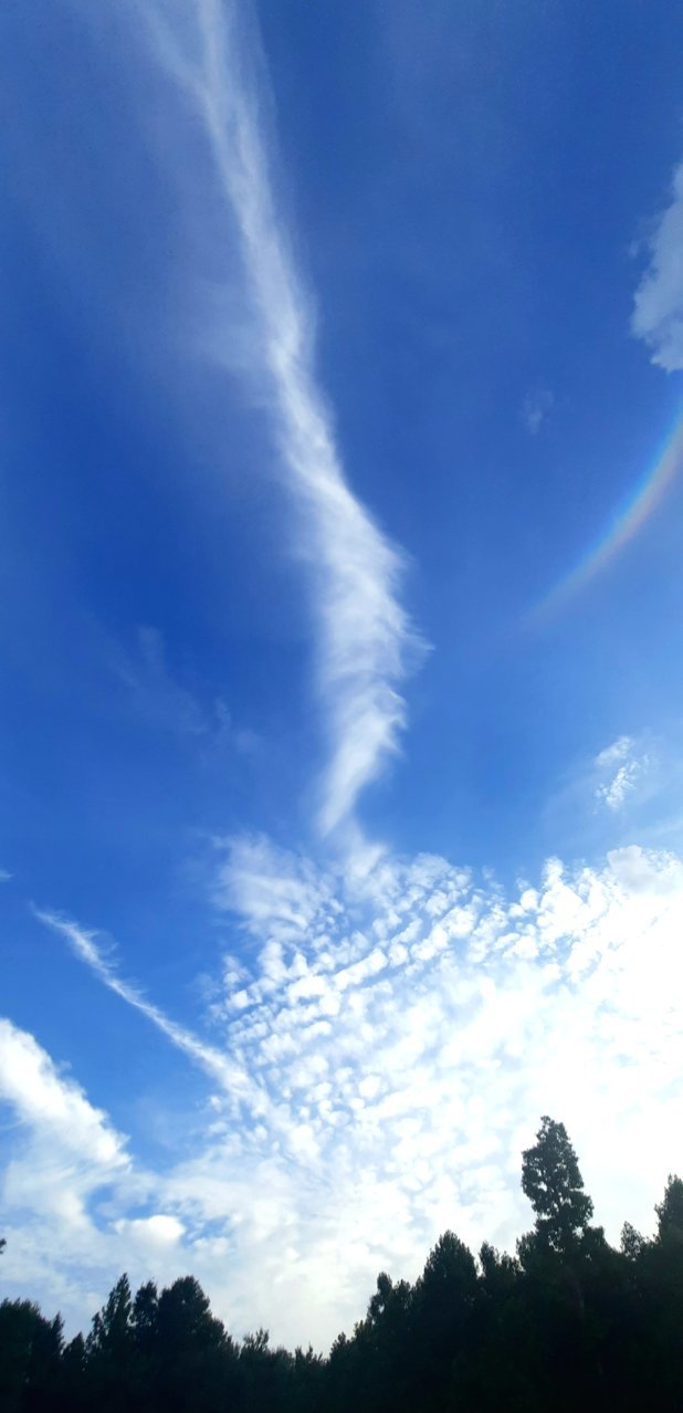 20230704_192841.jpg