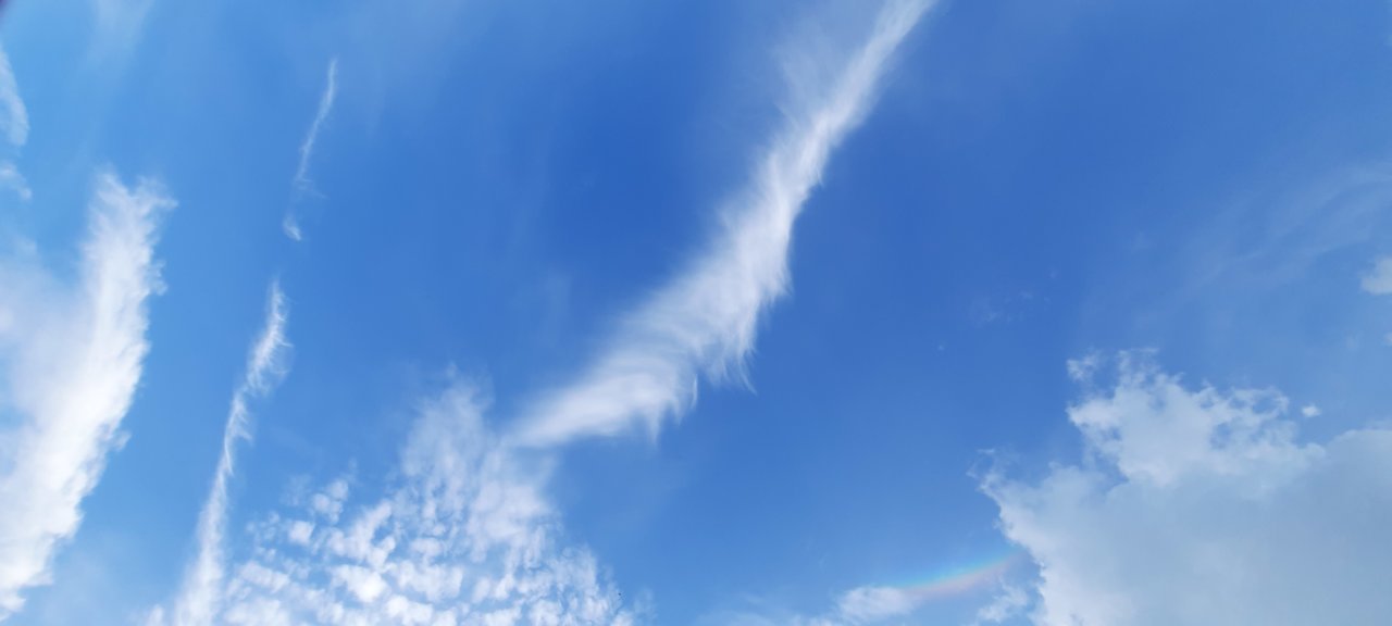 20230704_193132.jpg