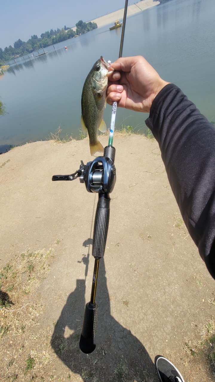 20230705_111037.jpg
