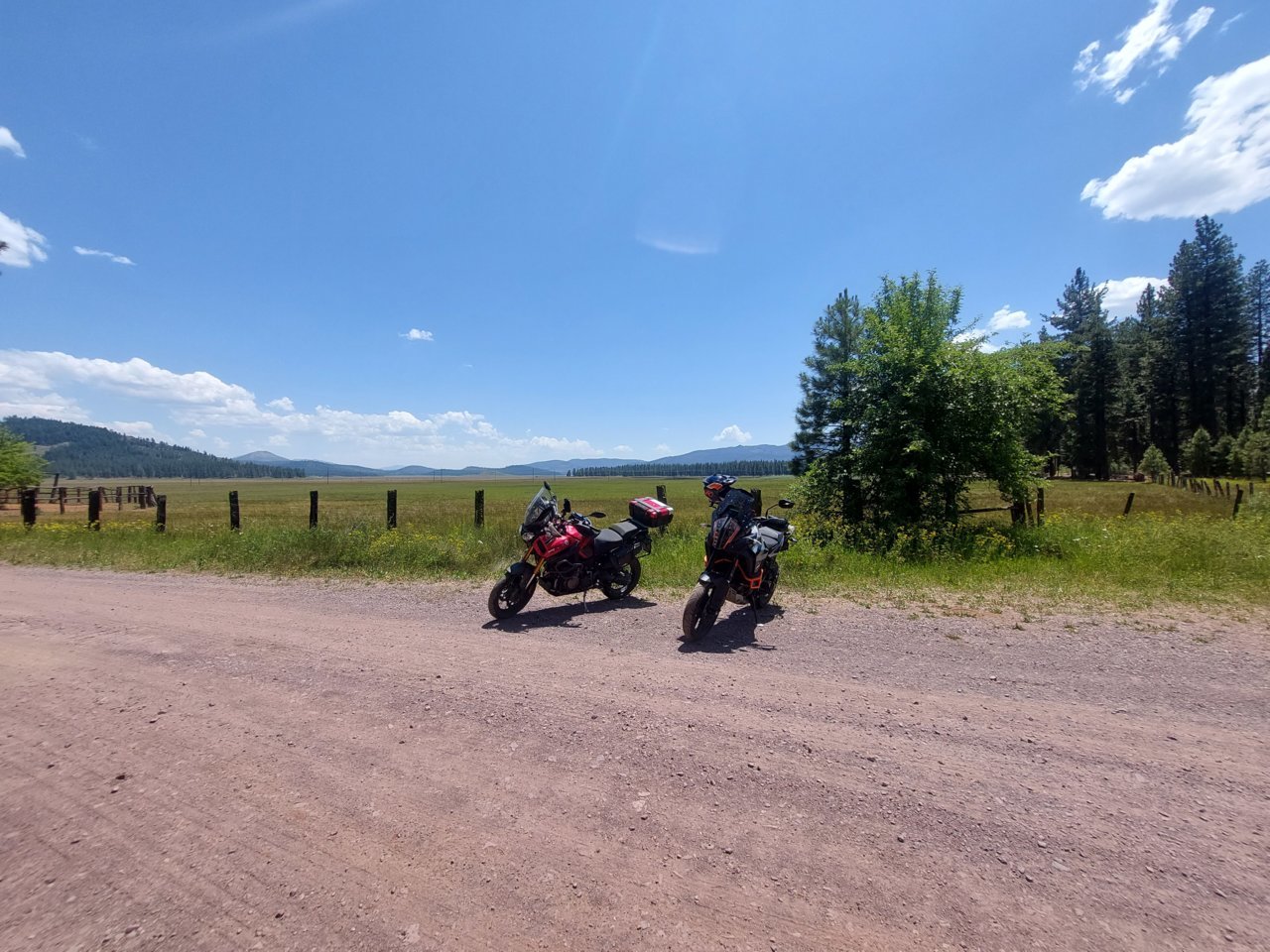 20230705_134057.jpg