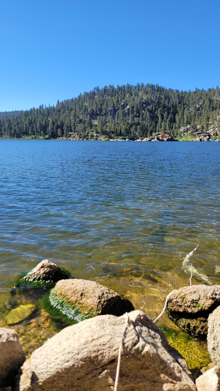 20230706_085457.jpg