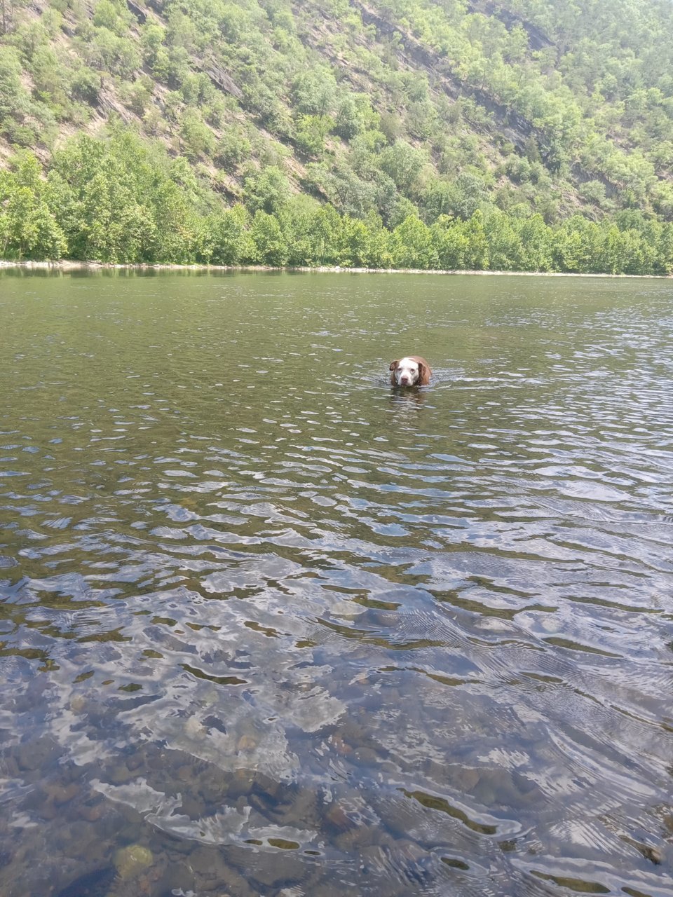 20230706_120501.jpg