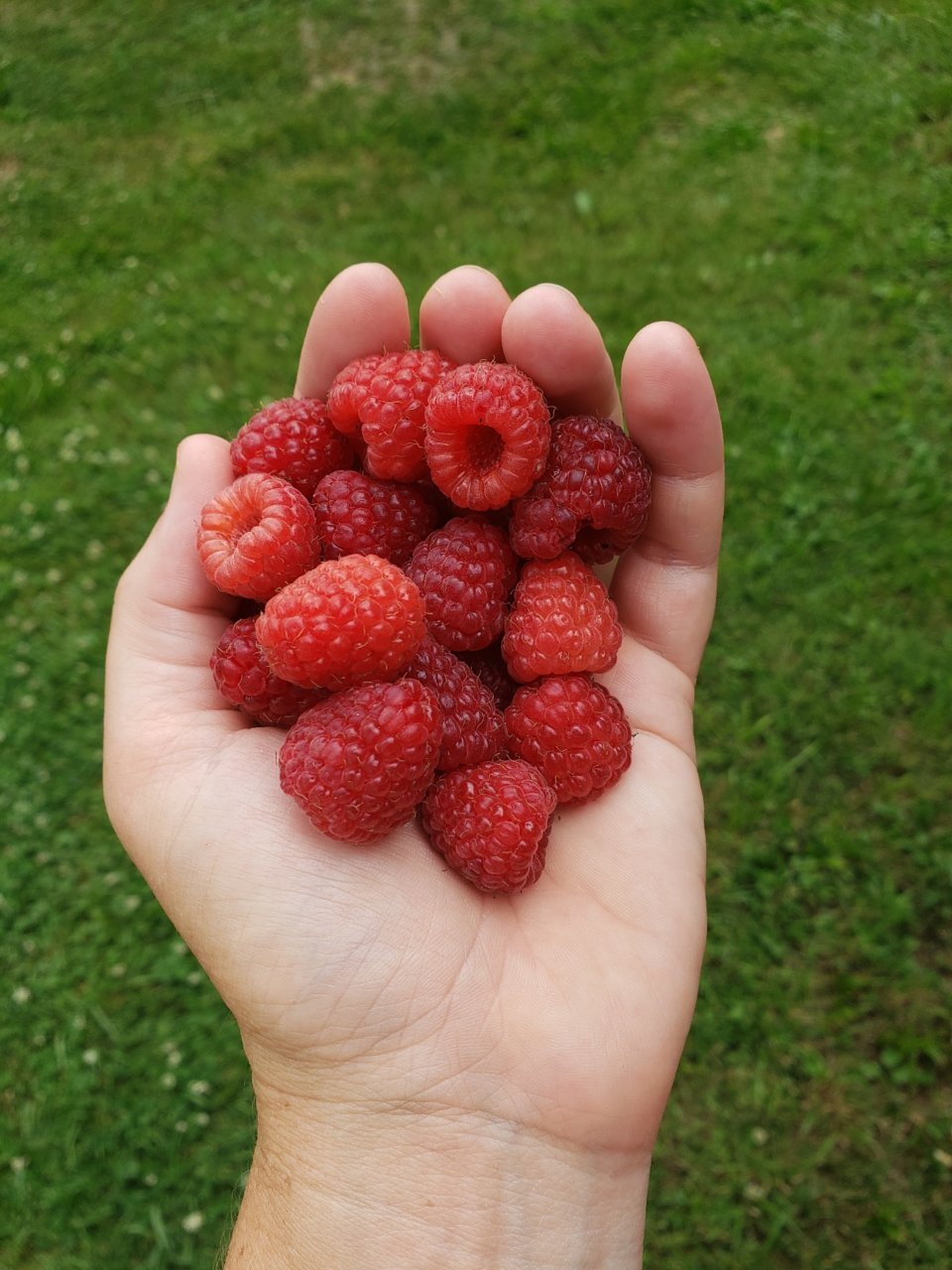 20230707_181521.jpg