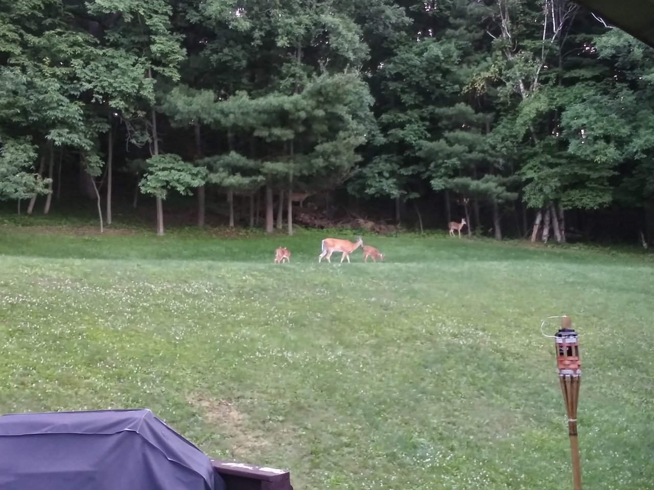 20230708_061152_HDR.jpg