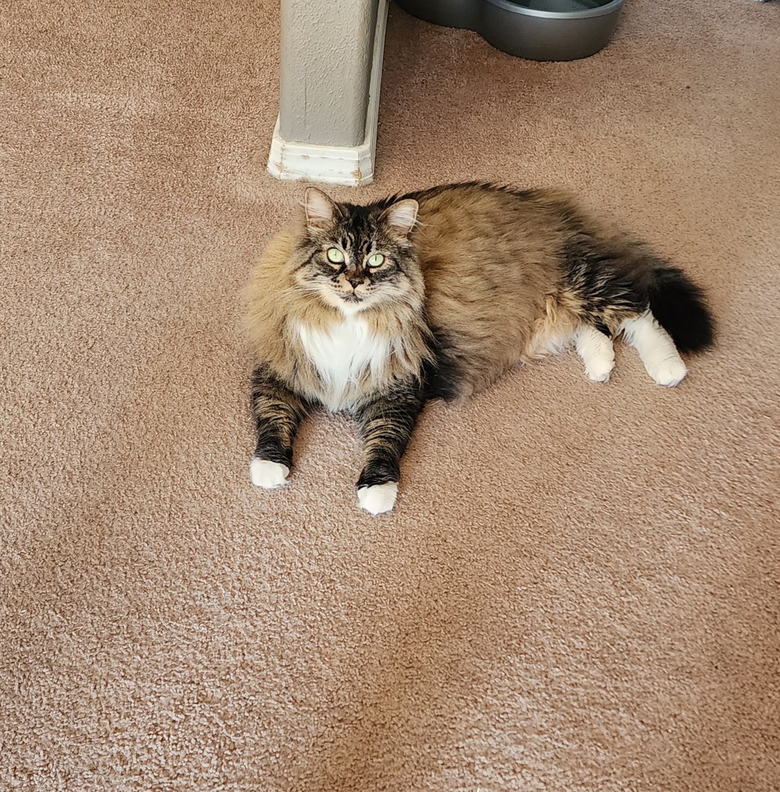 20230710_103849.jpg