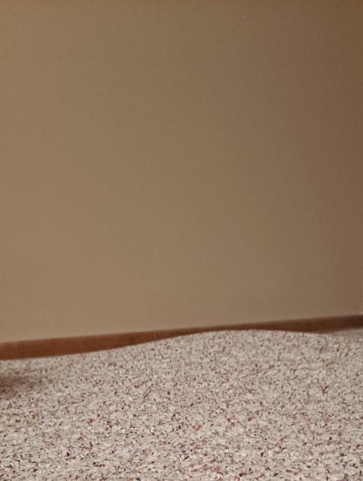 20230710_150057.jpg