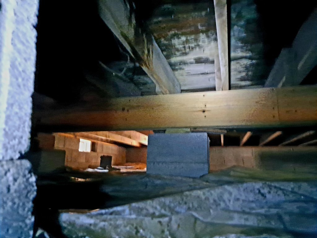 20230710_151211.jpg
