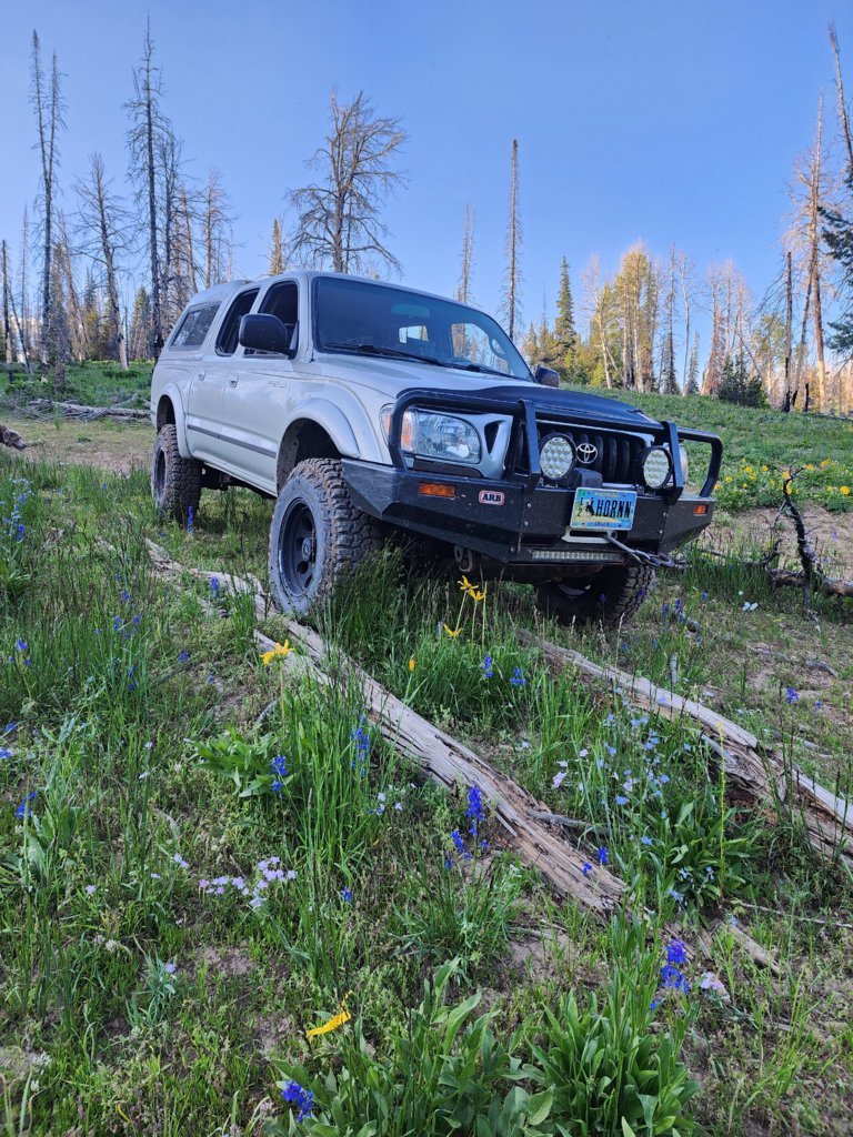 20230710_194343.jpg