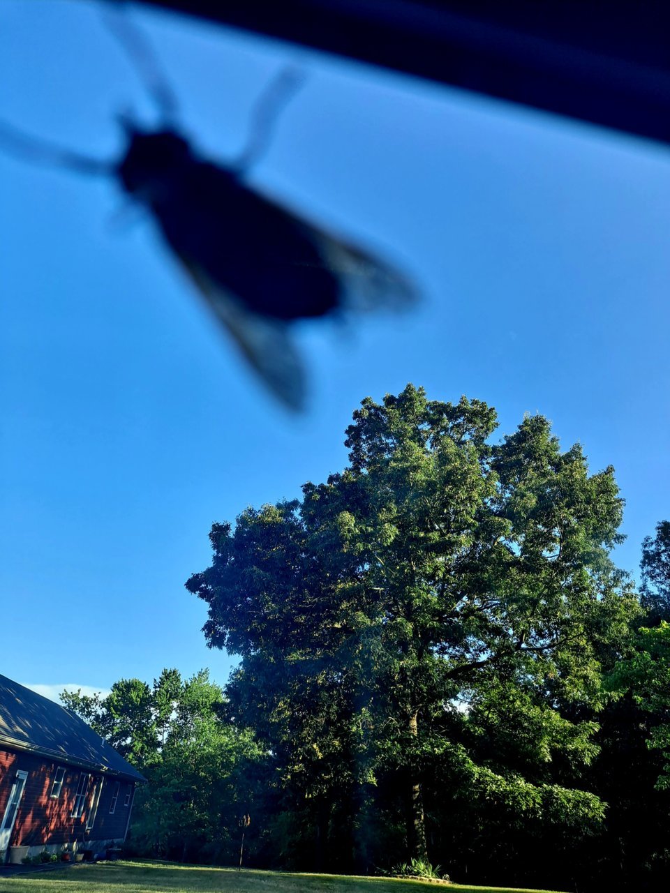 20230711_184210.jpg