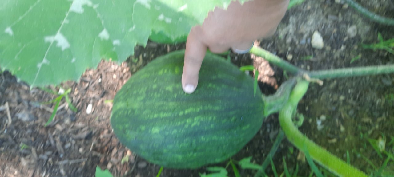 20230712_100207.jpg