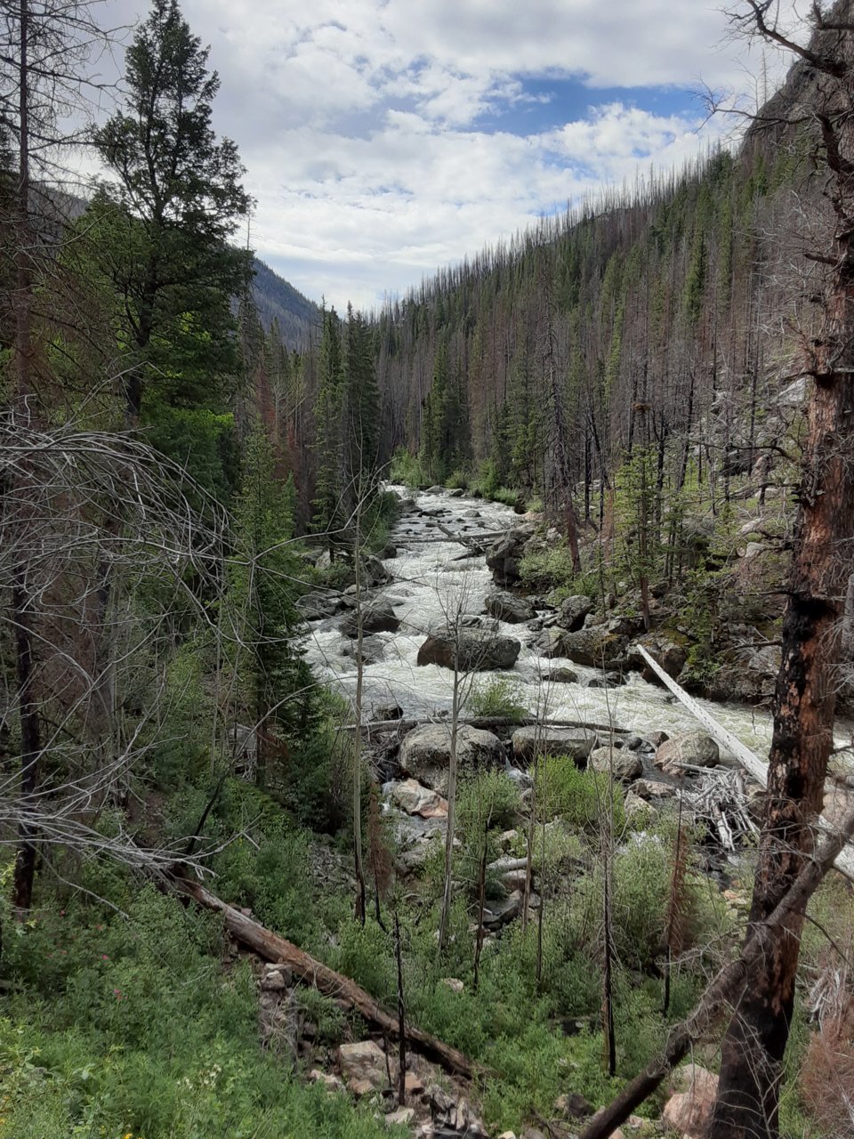 20230713_095253.jpg