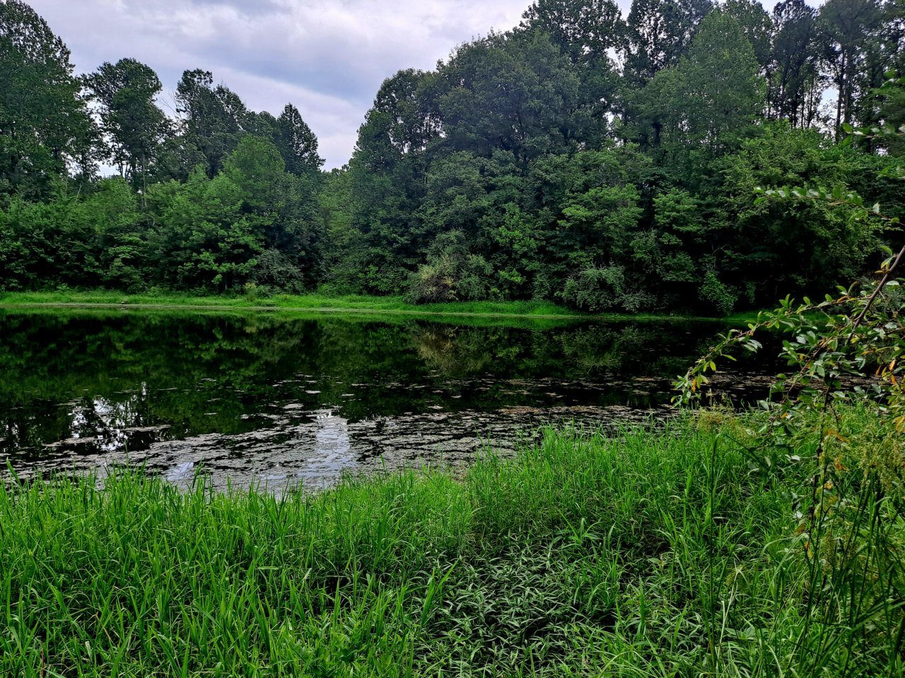 20230713_151229.jpg