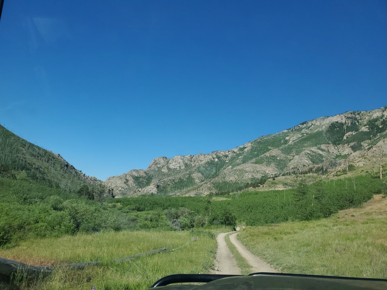 20230715_093942.jpg