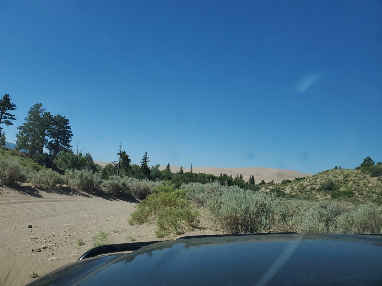 20230715_101559.jpg
