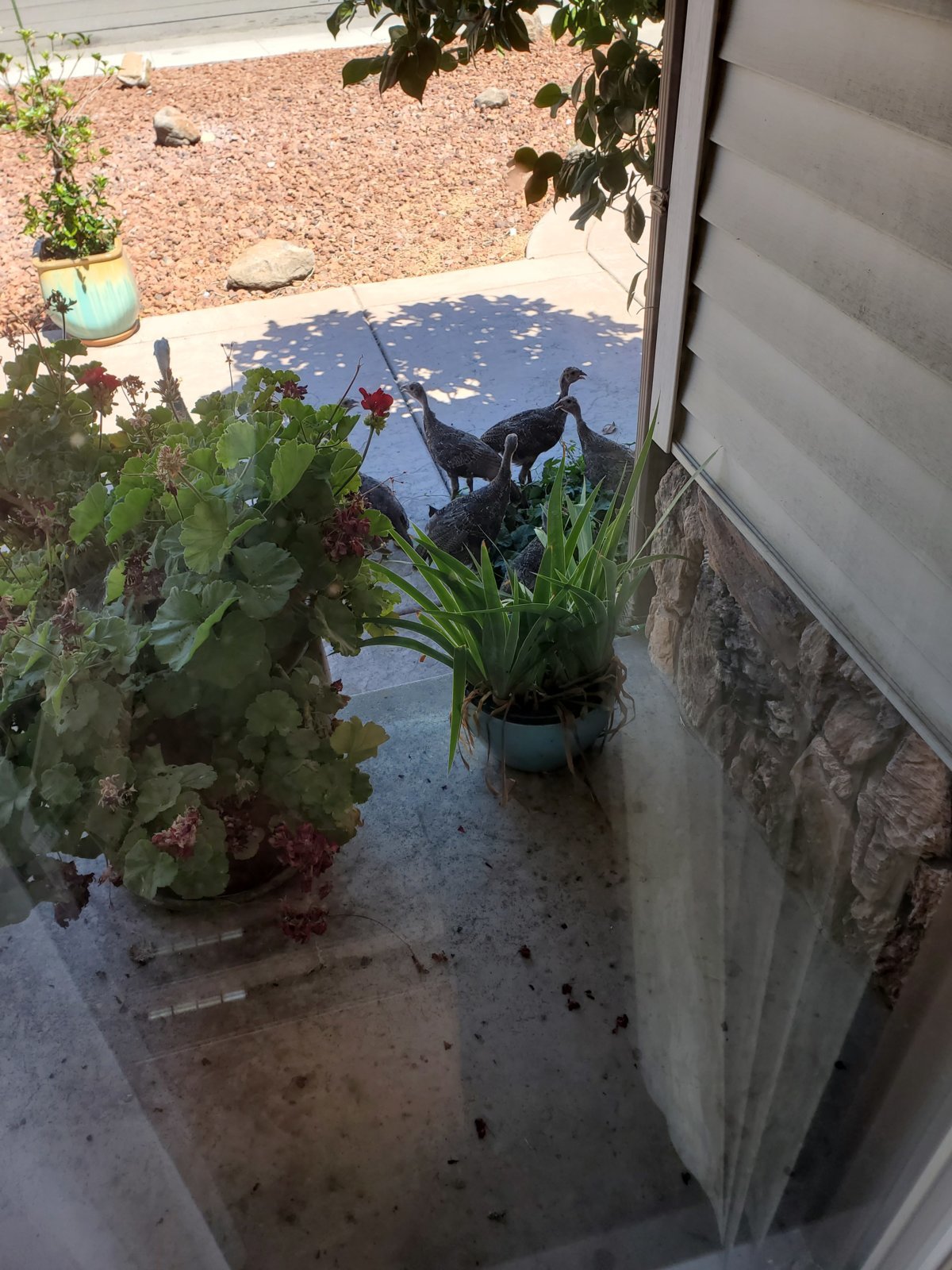 20230715_151750.jpg