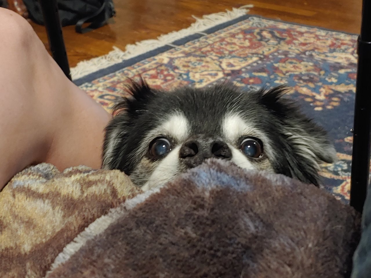 20230715_204300.jpg
