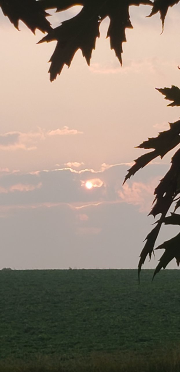 20230716_061051.jpg