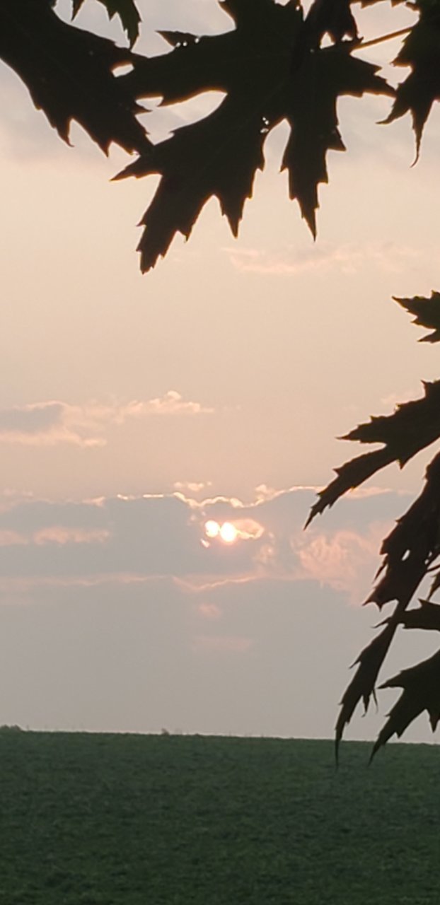 20230716_061126.jpg