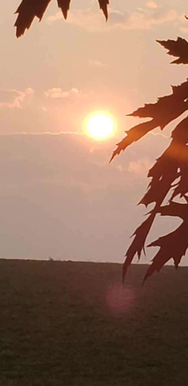 20230716_061445.jpg