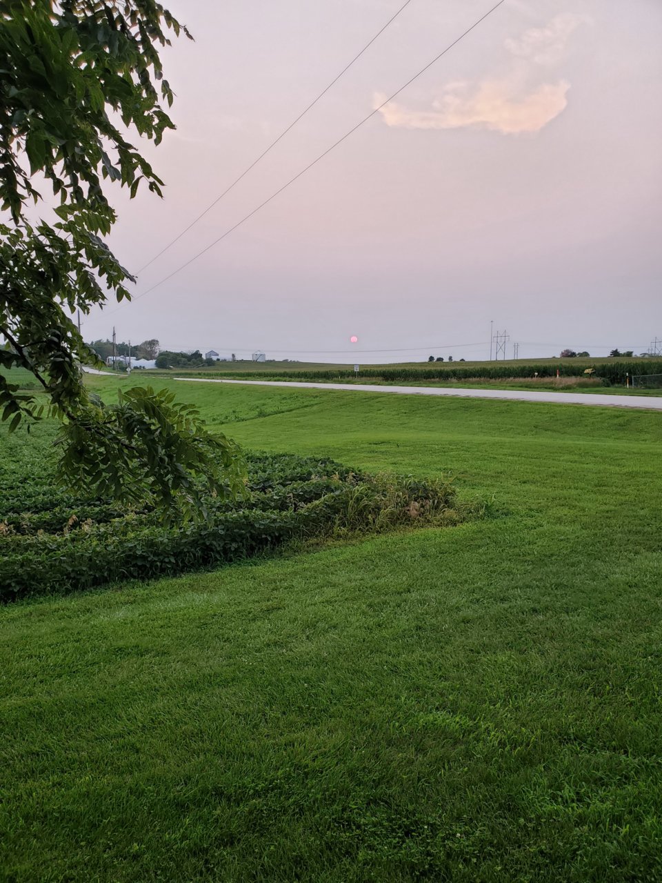 20230716_203118.jpg