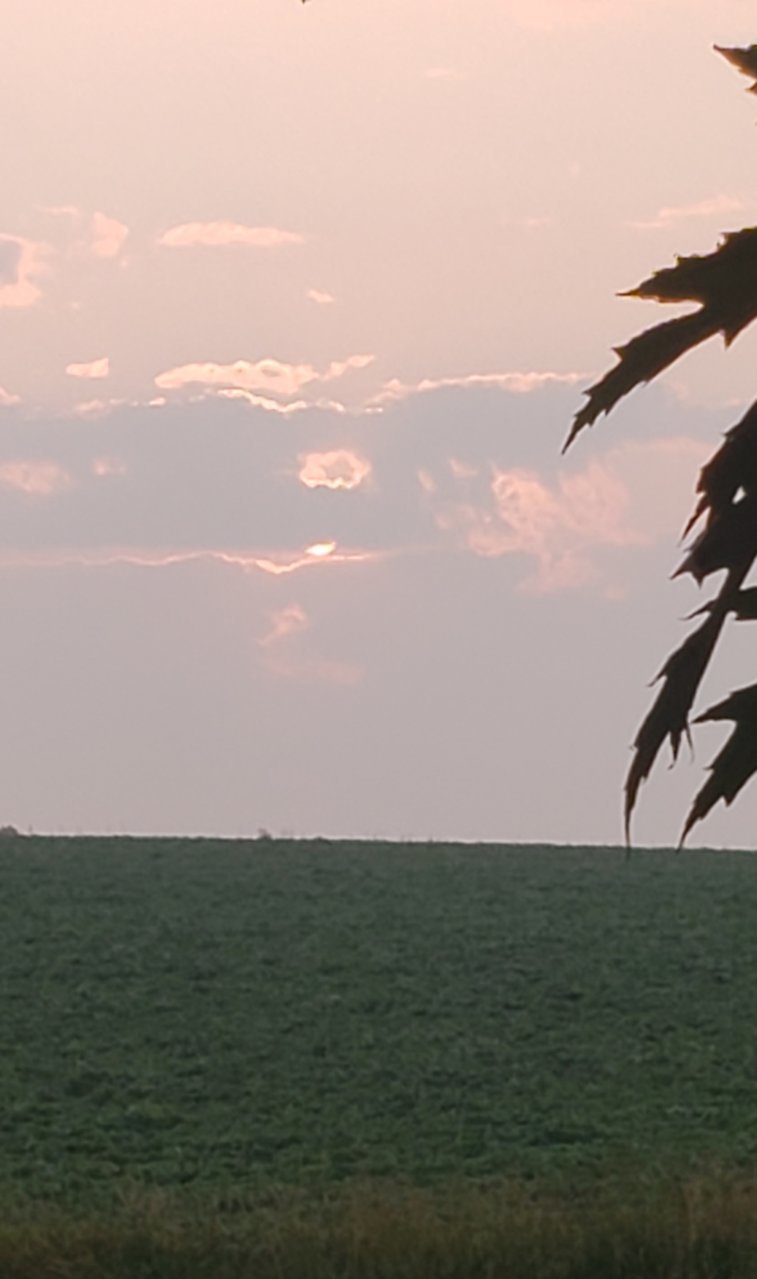20230717_071904.jpg