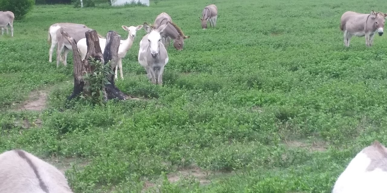 20230718_070612.jpg