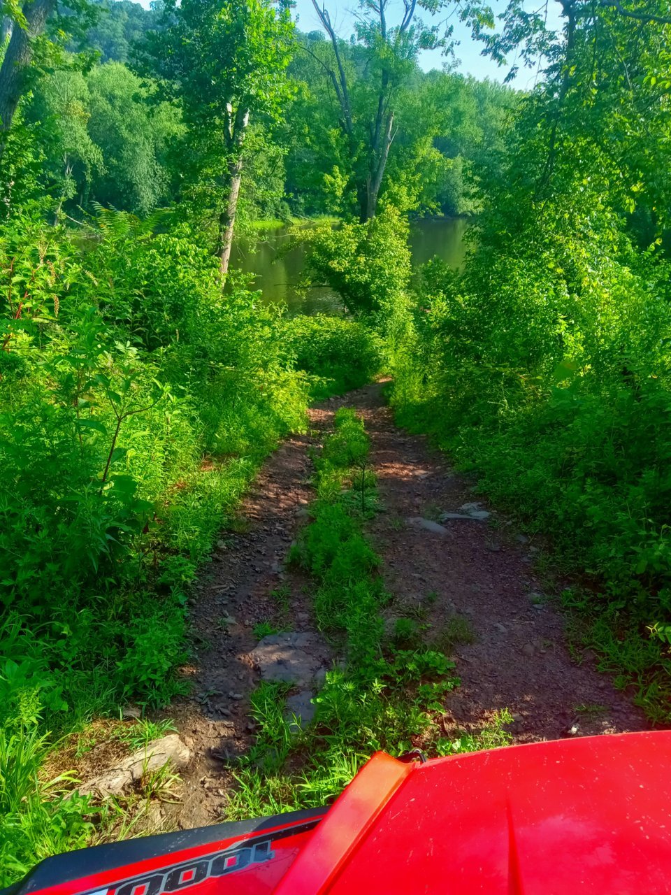 20230719_085344.jpg