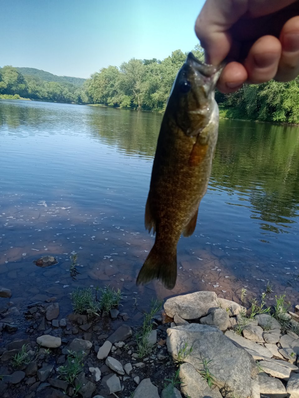 20230719_090327.jpg