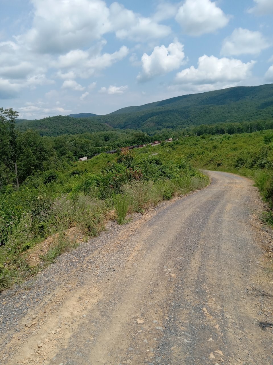 20230719_134535.jpg
