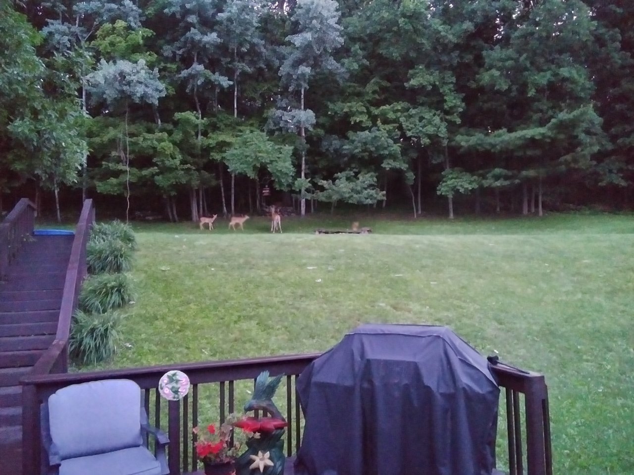 20230722_053155_HDR.jpg