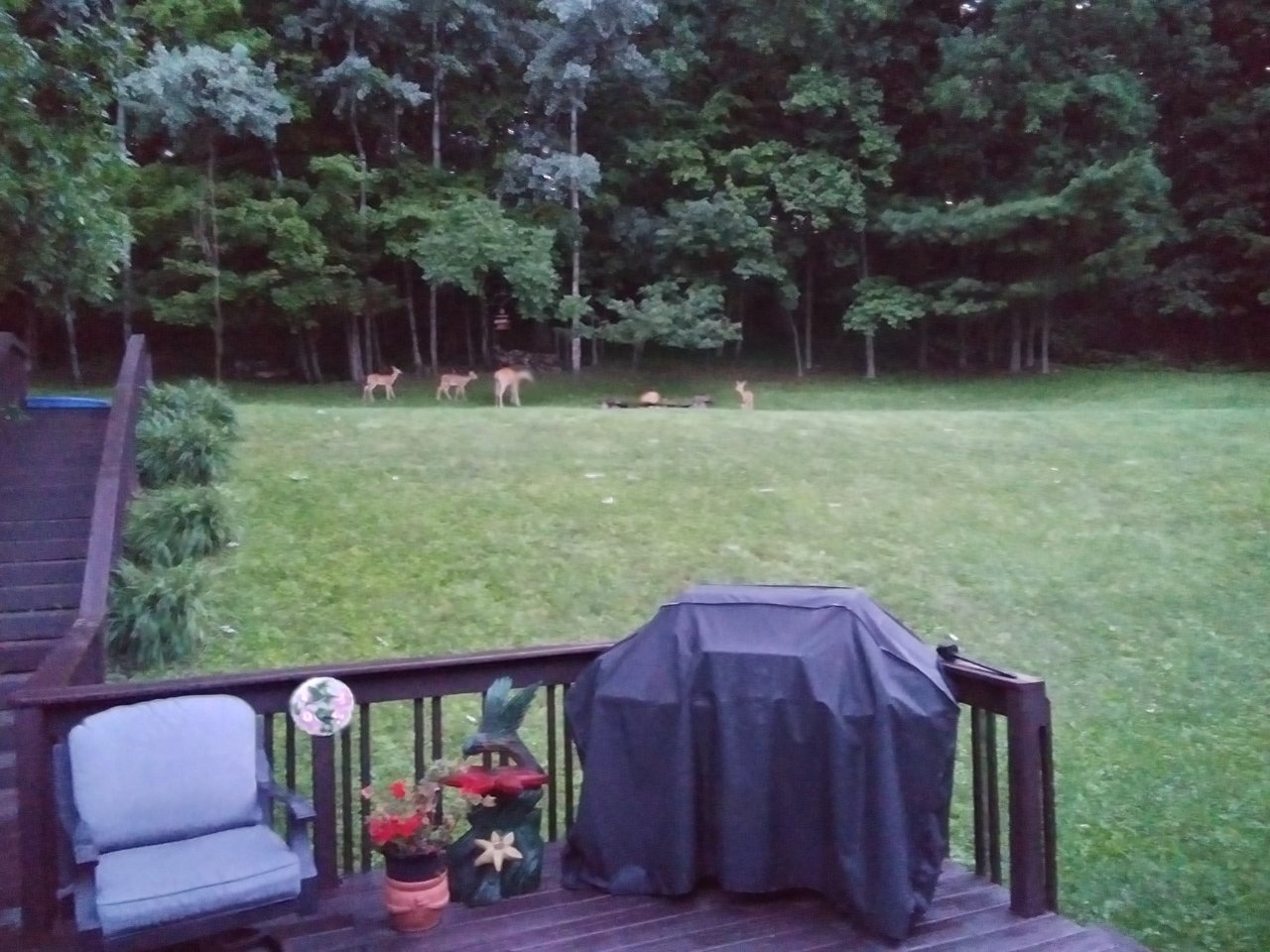 20230722_053200_HDR.jpg