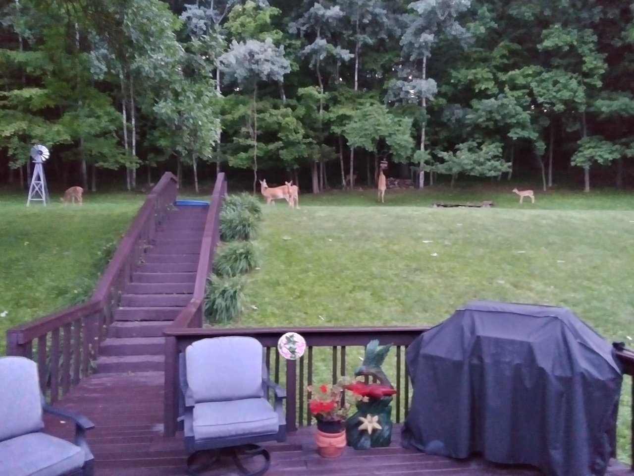 20230722_053900_HDR.jpg