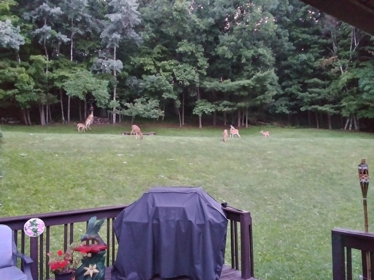 20230722_054227_HDR.jpg