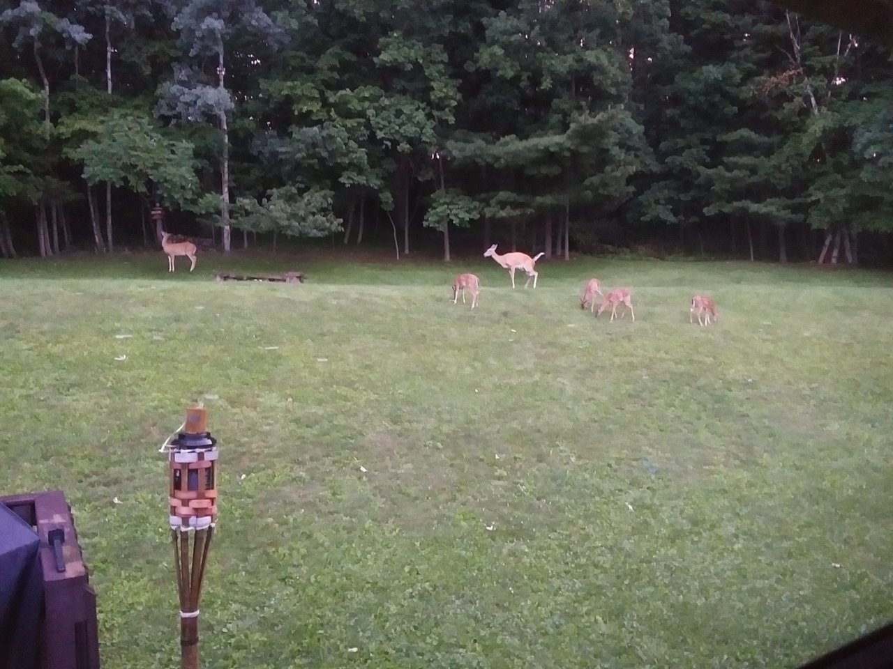 20230722_054521.jpg