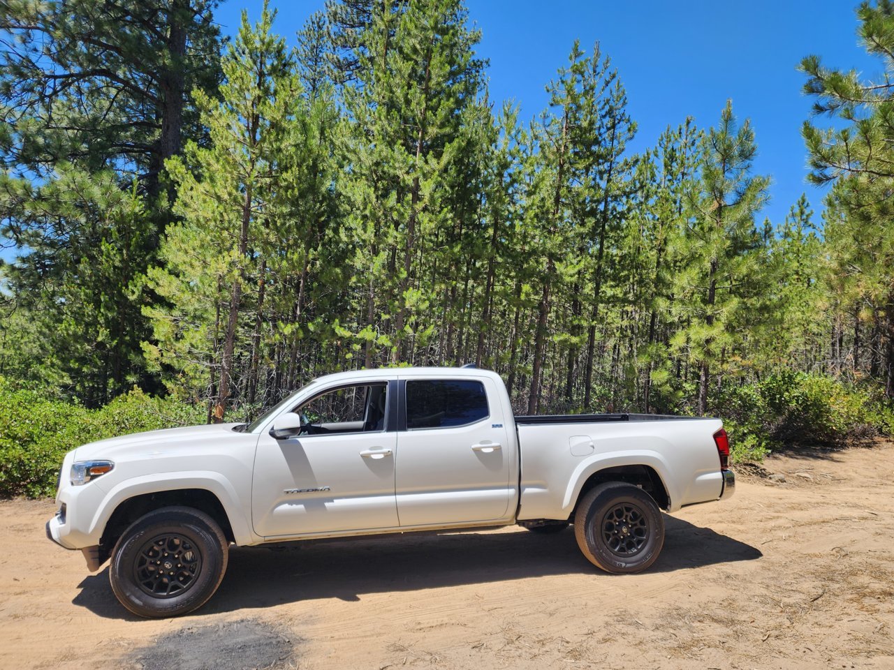 New Tacoma Owner | Tacoma World