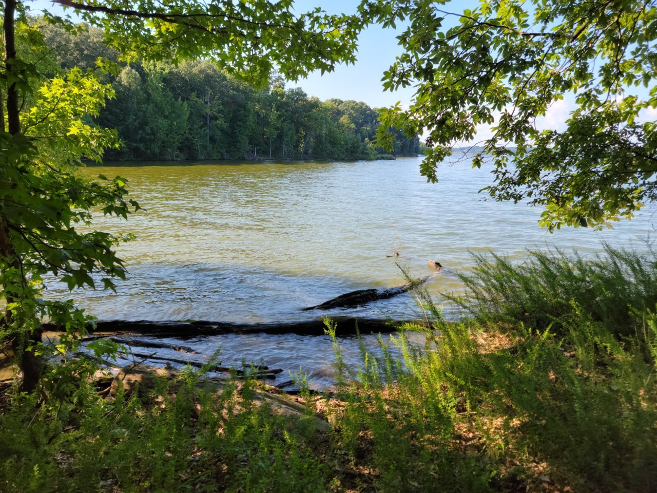 20230722_171427.jpg
