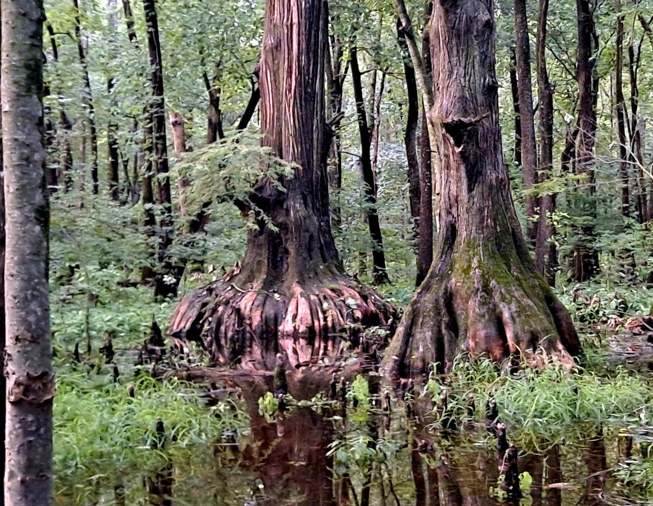 20230724_191636.jpg