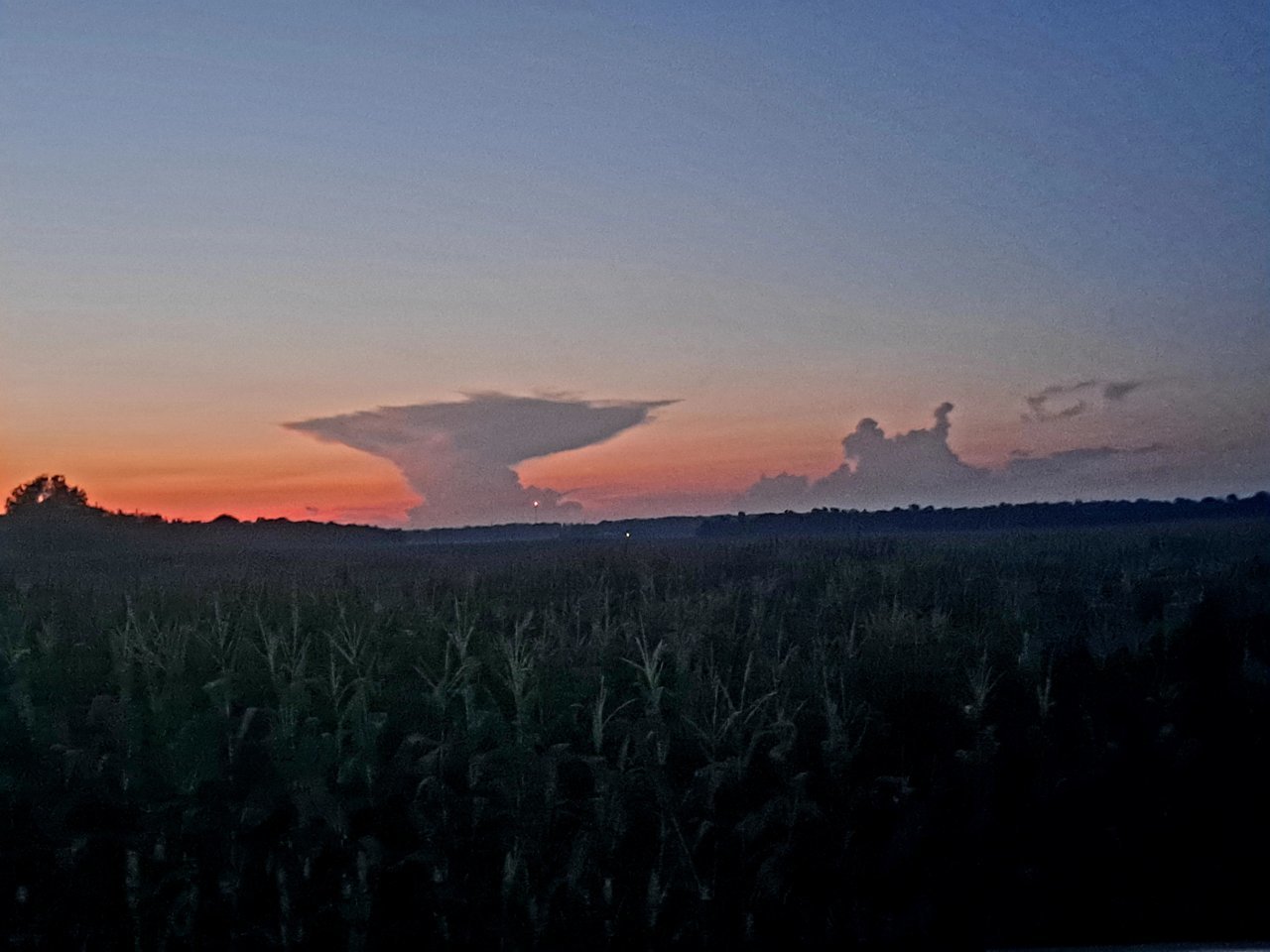 20230724_204831.jpg