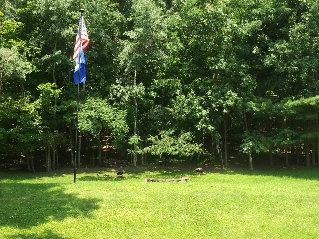 20230725_134417_HDR.jpg
