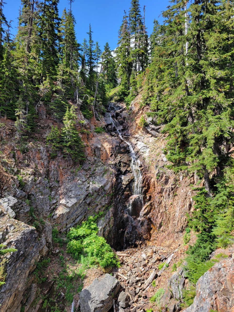 20230725_152246.jpg