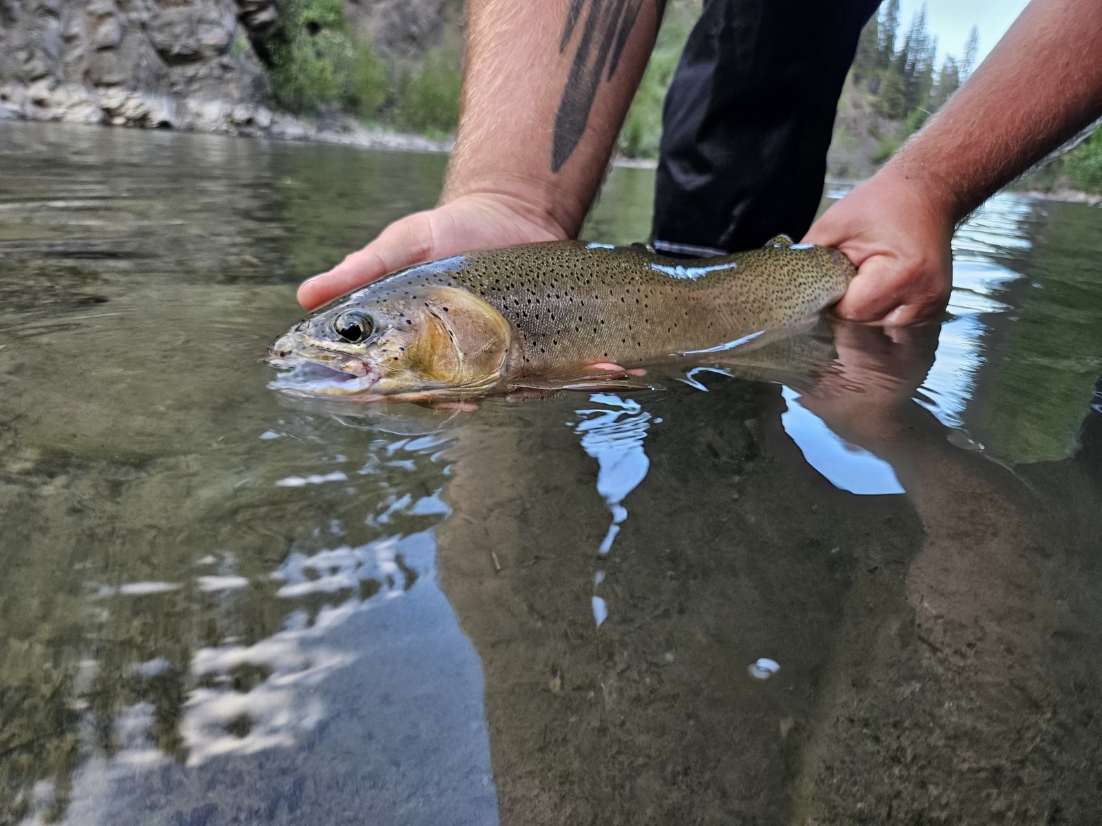 20230725_201820.jpg