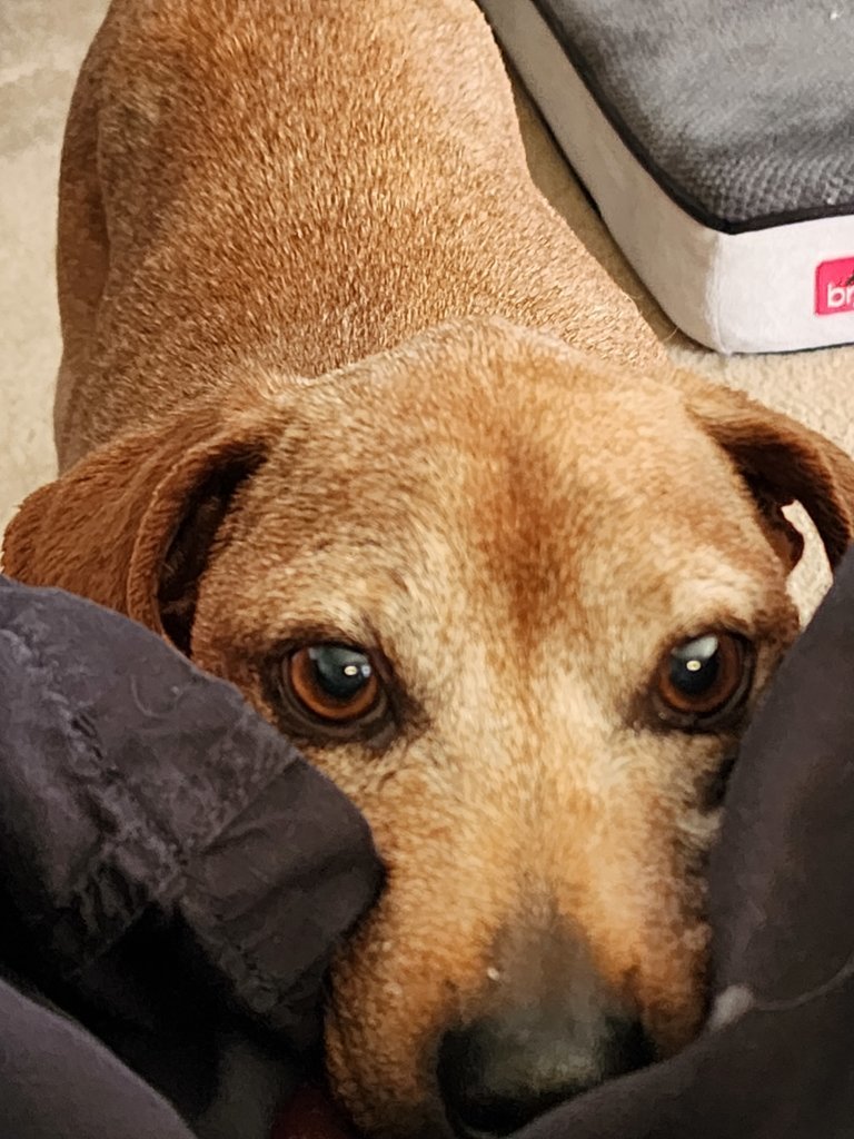 20230727_172044.jpg