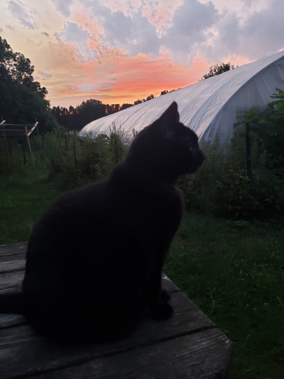 20230727_204248.jpg